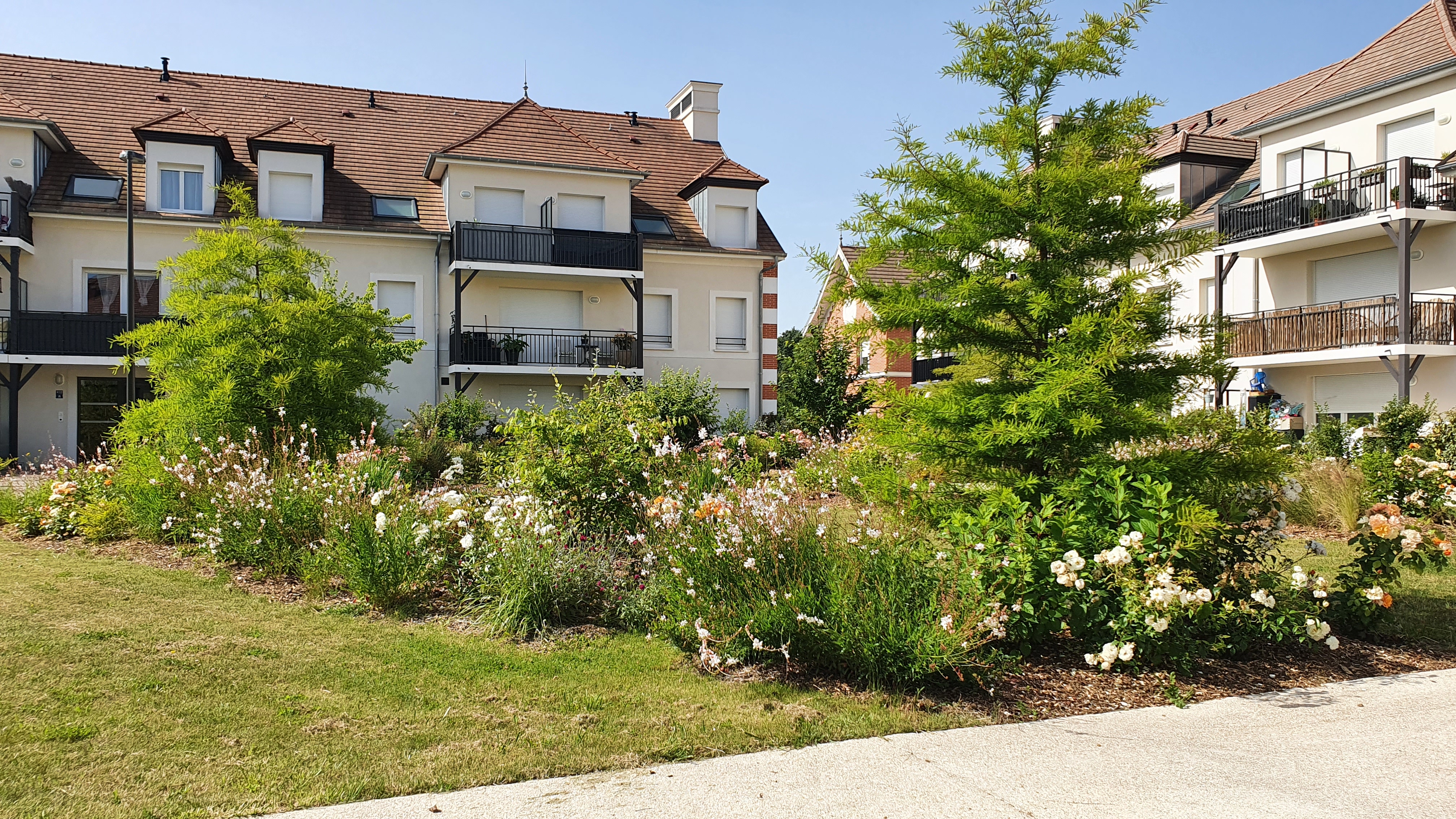 atelier tournesol paysagiste design paris