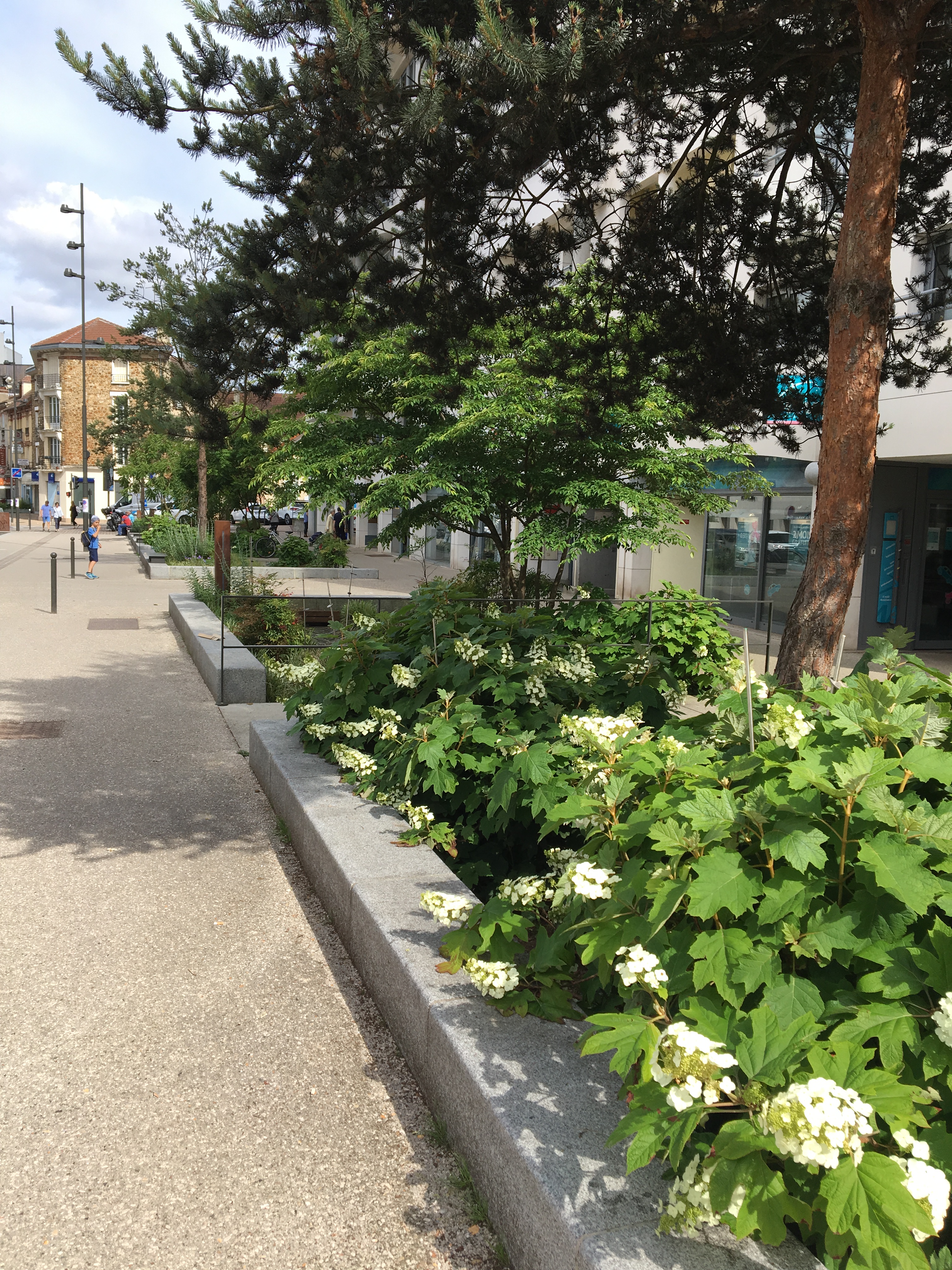 atelier tournesol paysagiste design paris