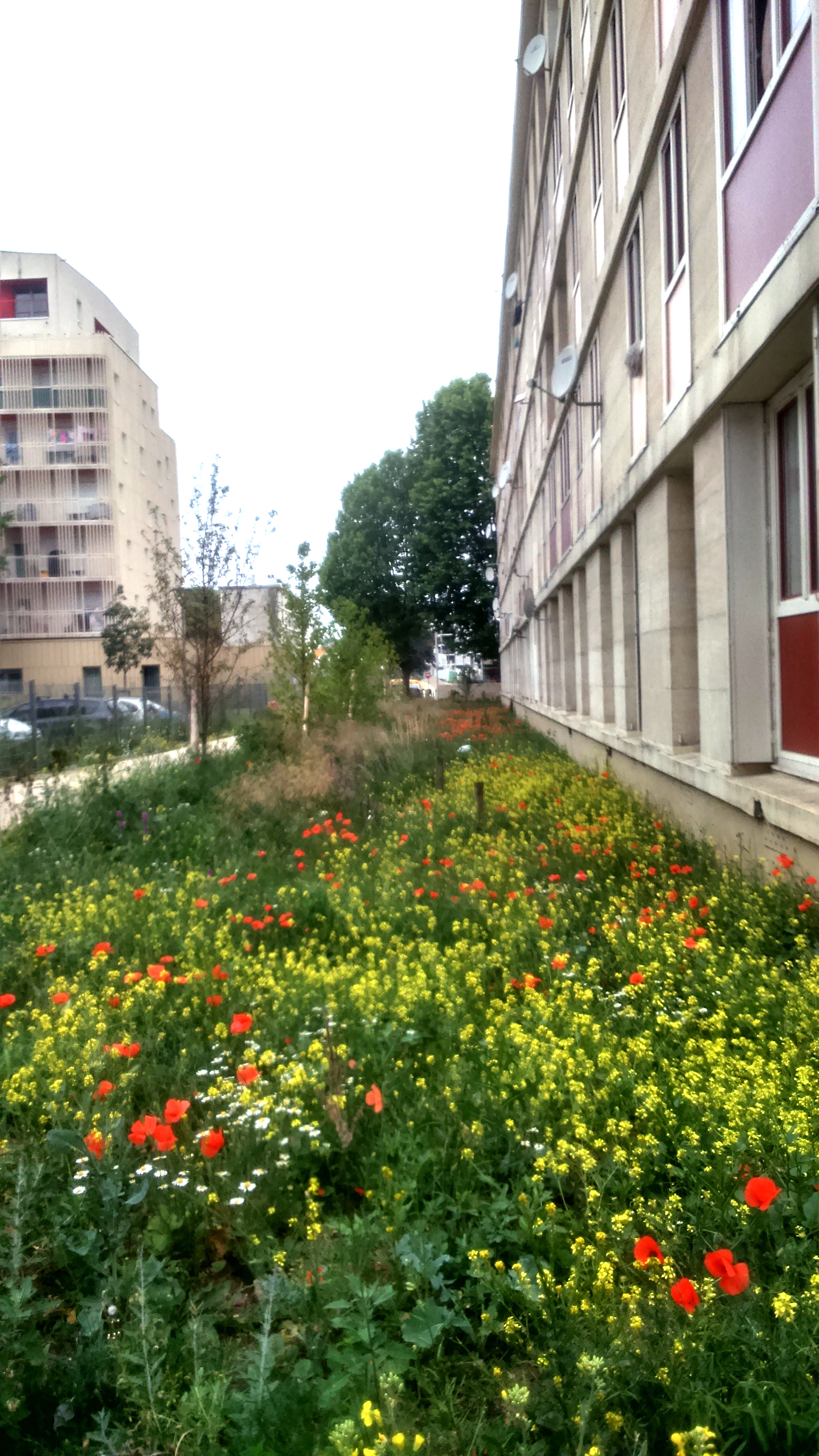 atelier tournesol paysagiste design paris